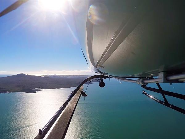 Waiheke